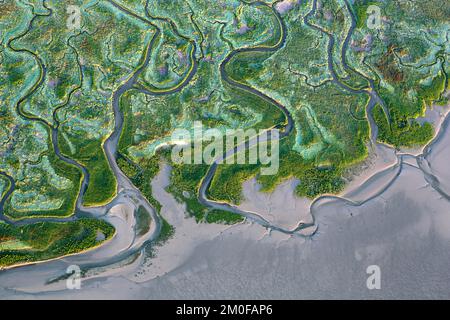 Land van Saeftinghe, Westerschelde, Aerial View, Belgien, Antwerpen, Land van Saeftinghe Stockfoto