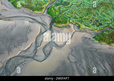 Land van Saeftinghe, Westerschelde, Aerial View, Belgien, Antwerpen, Land van Saeftinghe Stockfoto