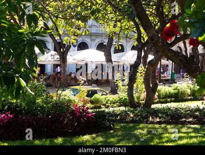 The Ritz, Funchal, Madeira, Portugal, vom Jardim Municipal do Funchal aus gesehen Stockfoto