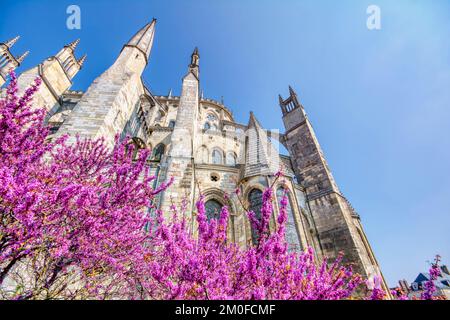 Kathedrale von Bourges, römisch-katholische Kirche befindet sich in Bourges, Frankreich. Es widmet sich der St.-Stephans und ist der Sitz von Erzbischof von Bourges. Stockfoto