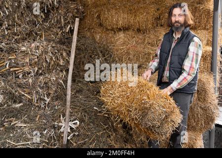 Bärtiger, ausgewachsener, weißer Bauer im Heuboden. Stockfoto