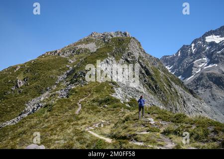 Wanderer auf dem Ball Pass geführte Wanderung in Mount Cook Neuseeland Stockfoto