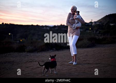 Die dänische Schauspielerin Brigitte Nielsen lebt in Hollywood Hillls mit ihrem 15 Jahre jüngeren Ehemann Mattia Dessi und ihren beiden Hunden Tootsie und Joker. Sie tritt immer noch in Reality- und tv-Shows auf und hat gerade als Beraterkolumnistin für die dänische Zeitung Ekstra Bladet begonnen. FOTOGRAF BENJAMIN KÃŒRSTEN / POLFOTO Stockfoto