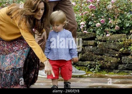 Die dänische Königsfamilie versammelte sich am Freitag, den 20. Juli 2012, bei der jährlichen Fotosession im Graasten Palace in Südjütland. Die Oberärztin sind Königin Margrethe, Prinz Consort Henrik, Kronprinz Frederik, Kronprinzessin Mary, Prinzessin Isabella, Prinz Christian, Prinz Vincent, Prinzessin Benedikte, Prinzessin Alexandra, Gräfin Ingrid und Graf Richard. Prinz Vincent, seine Schwester Prinzessin Josephine konnte wegen Krankheit nicht kommen. (Anders Brohus/POLFOTO) Stockfoto