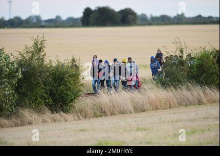 Die erste große Gruppe von Flüchtlingen und Einwanderern hat die dänische Grenze in Rødby im Süden Seelands überquert. Nach Angaben der Polizei von Süuseeland und Lolland-Falster kamen über zwei Fähren aus Puttgarden in Deutschland etwa 170 Flüchtlinge nach Rødby. Einige Migranten flohen vor der Polizei in Rødby, wurden aber angehalten und in Bussen abgeholt. Die überwiegende Mehrheit der registrierten Migranten kommt aus Syrien, und diejenigen, deren Asylverfahren in Dänemark vor Gericht gestellt werden, werden in das Flüchtlingslager Sandholmlejren entsandt. Per Rasmussen / Polfoto Flygtninge på flugt fra politiet ved Rødbyhavn. Ca Hunderrede Stockfoto