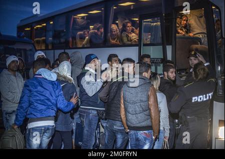 Die erste große Gruppe von Flüchtlingen und Einwanderern hat die dänische Grenze in Rødby im Süden Seelands überquert. Nach Angaben der Polizei von Süuseeland und Lolland-Falster kamen über zwei Fähren aus Puttgarden in Deutschland etwa 170 Flüchtlinge nach Rødby. Einige Migranten flohen vor der Polizei in Rødby, wurden aber angehalten und in Bussen abgeholt. Die überwiegende Mehrheit der registrierten Migranten kommt aus Syrien, und diejenigen, deren Asylverfahren in Dänemark vor Gericht gestellt werden, werden in das Flüchtlingslager Sandholmlejren entsandt. Per Rasmussen / Polfoto Flygtninge på flugt fra politiet ved Rødbyhavn. Ca Hunderrede Stockfoto