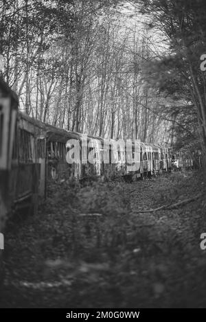 Ein vertikales Schwarzweißbild eines alten verlassenen Zuges im Wald Stockfoto