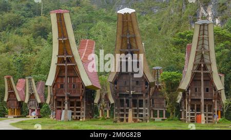 Landschaftsblick auf wunderschöne traditionelle hölzerne Tongkonanhäuser im Dorf Kandeapi, in der Nähe von Rantepao, Tana Toraja, South Sulawesi, Indonesien Stockfoto