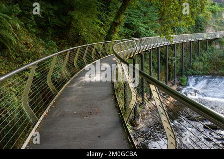 Millennium Walkway im Torrs Riverside Park, New Mills, Derbyshire, England. Stockfoto