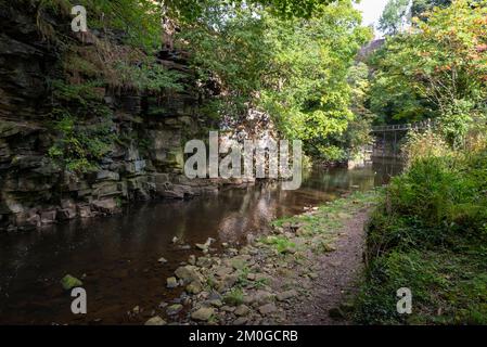 Der Fluss Goyt im Torrs Riverside Park, New Mills, Derbyshire, England. Stockfoto