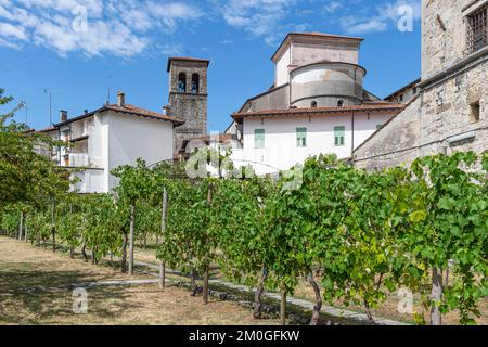 Weinberg santa maria im Kloster valle, cividale del friuli, italien Stockfoto