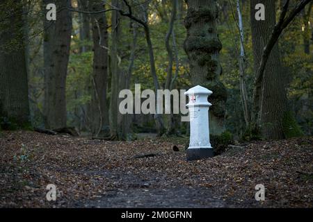 Kohlesteuerstelle in Broxbourne Woods. Stockfoto