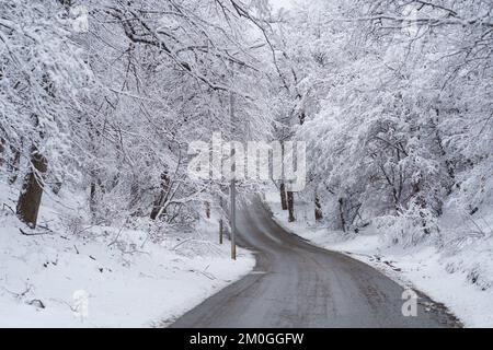 Verschneite Auffahrt. Schneebedeckte Bergstraße in Georgia. Winterwald nach Schneefall Stockfoto