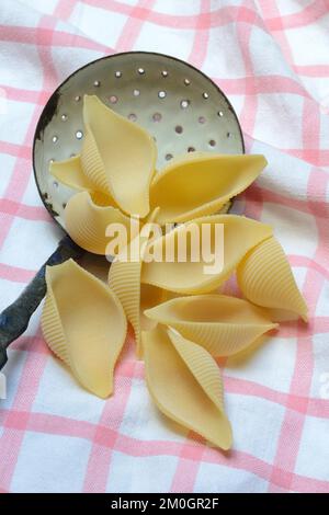 Conchiglione mit Siebkelle, Muschelpasta, Pasta Stockfoto