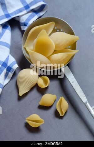 Conchiglione und kleine Conchiglie mit Siebkelle, Muschelpasta, Pasta Stockfoto