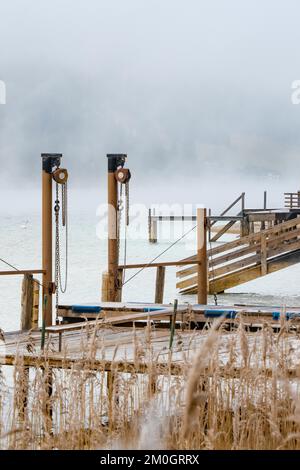 Schilf auf dem See mit Nebel und Steg im Winter, Achensee, Tirol, Österreich, Europa Stockfoto