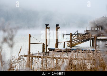 Schilf auf dem See mit Nebel und Steg im Winter, Achensee, Tirol, Österreich, Europa Stockfoto