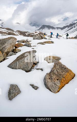 Skitouristen auf dem Abstieg in Stiergschwez, Skitour nach Obere Kräulscharte, Stubai-Alpen, Tirol, Österreich, Europa Stockfoto