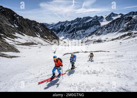 Skitouristen klettern Lisenser Ferner, Berglastal, Blick auf Berge und Gletscher mit Gipfel Östliche Seespitze und Innere Sommerwand, Stubai Alpen, Tyr Stockfoto