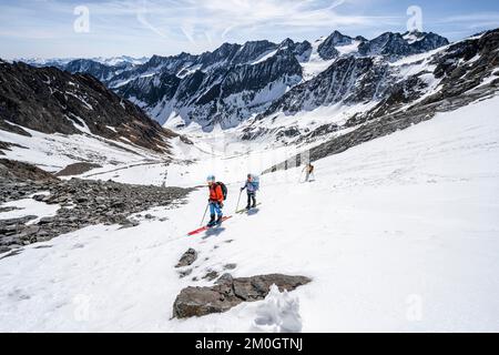 Skitouristen klettern Lisenser Ferner, Berglastal, Blick auf Berge und Gletscher mit Gipfel Östliche Seespitze und Innere Sommerwand, Stubai Alpen, Tyr Stockfoto