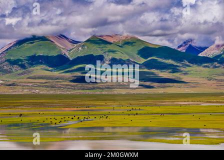 Die offene, weite Landschaft Tibets entlang der tibetischen Eisenbahn in Tibet, Asien Stockfoto