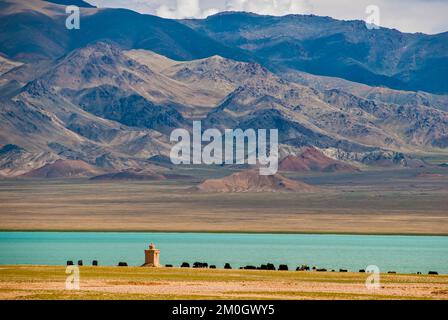 Yaks in der offenen tibetischen Landschaft entlang der Straße von Tsochen nach Lhasa, Westtibet, Asien Stockfoto