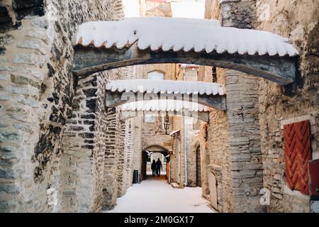 Blick auf die Dächer der Altstadt von Tallinn im Winter. Eine schneebedeckte Stadt an der Ostseeküste. Estland Stockfoto