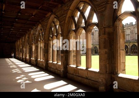 Kloster, Durham Cathedral, Durham, Grafschaft Durham, Tyne und Wear, UK. Durham Cathedral ist eine normannische Kathedrale, die zwischen 1093 und 1133 im RO erbaut wurde Stockfoto