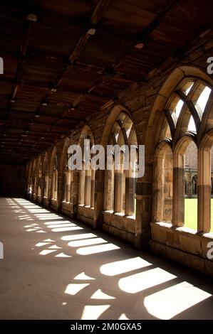 Kloster, Durham Cathedral, Durham, Grafschaft Durham, Tyne und Wear, UK. Durham Cathedral ist eine normannische Kathedrale, die zwischen 1093 und 1133 im RO erbaut wurde Stockfoto