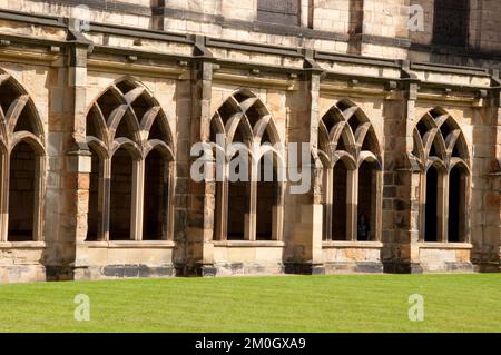 Kloster, Durham Cathedral, Durham, Grafschaft Durham, Tyne und Wear, UK. Durham Cathedral ist eine normannische Kathedrale, die zwischen 1093 und 1133 im RO erbaut wurde Stockfoto