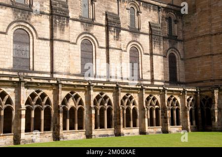 Kloster, Durham Cathedral, Durham, Grafschaft Durham, Tyne und Wear, UK. Durham Cathedral ist eine normannische Kathedrale, die zwischen 1093 und 1133 im RO erbaut wurde Stockfoto