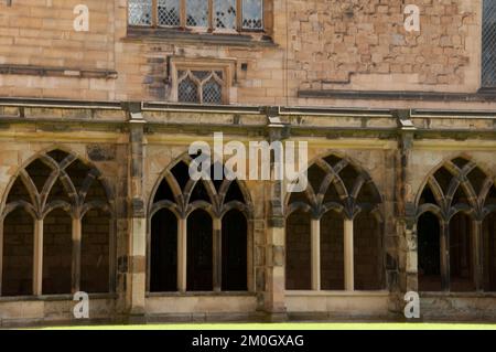 Kloster, Durham Cathedral, Durham, Grafschaft Durham, Tyne und Wear, UK. Durham Cathedral ist eine normannische Kathedrale, die zwischen 1093 und 1133 erbaut wurde. Stockfoto