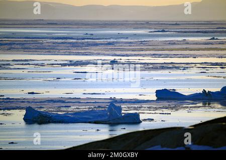 Bucht mit Eisbergen und Drifteis im Abendlicht, Disko Bay, Ilulissat, Arktis, Grönland, Dänemark, Nordamerika Stockfoto