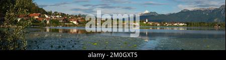 Blick auf das Dorf mit Hopfensee, Hopfen am See, Allgäu Alpen, Allgäu, Bayern, Deutschland, Europa Stockfoto