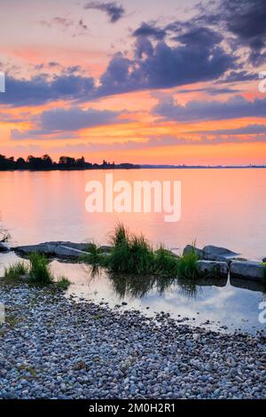 Blick von Arbon über den Bodensee bei einem farbenfrohen Sonnenuntergang im Kanton Thrugau, Schweiz, Europa Stockfoto