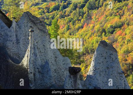 Erdpyramiden von Euseigne, Schweiz, Europa Stockfoto