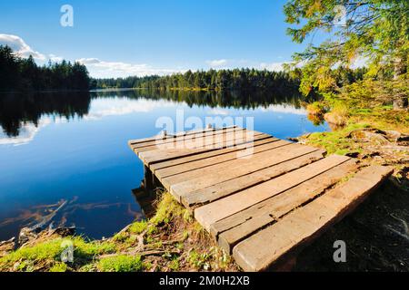 Badesteg am Seeufer des Sumpfsees Etang de la Gruère im Kanton Jura, Schweiz, Europa Stockfoto