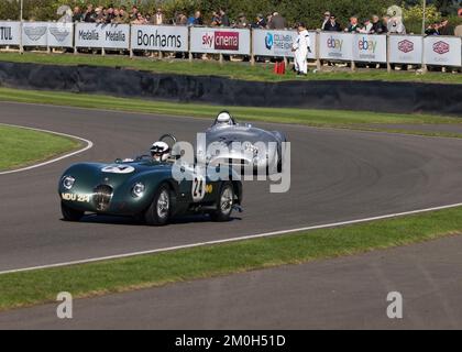 Green 1952 Jaguar C-TYPE Nr. 24 wird vom 1954 Cooper-Jaguar T33 Nr. 34 bei der 2022 Goodwood Revival verfolgt Stockfoto