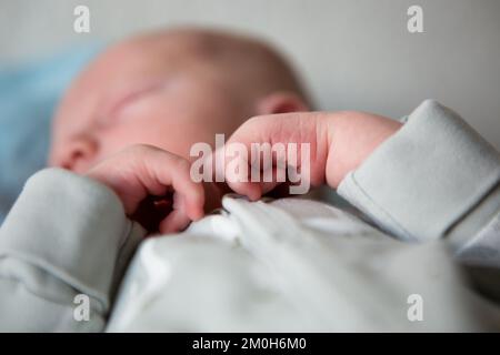 Nahaufnahme der Hände des Neugeborenen beim Schlafen im Bett zu Hause Stockfoto