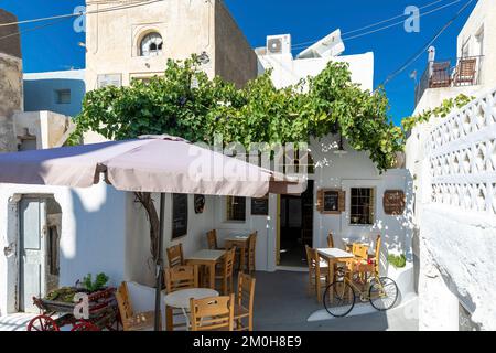 Griechenland, Kykladen, Insel Santorin (Thera oder Thira), Dorf Empurio, schattige Terrasse des kleinen kommerziellen Cafés? Mitten in den engen Gassen Stockfoto