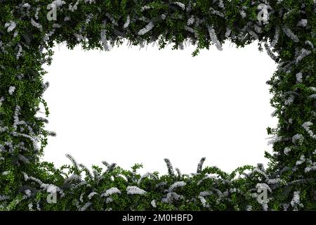 Grüne Blätter und weiße Blüten sind auf transparentem Hintergrund isoliert – Abbildung 3D Stockfoto