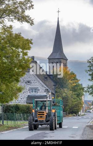 Frankreich, Puy de Dome, Chastreix, R?mi Fargeix, Züchter von Salers Kühen, Abfahrt zur La Tour-d'Auvergne Messe Stockfoto