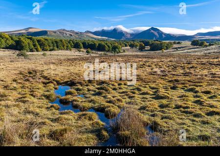 Frankreich, Puy de Dome, Fontaine Salee Valley, Monts Dore, Puy de Sancy, Parc des Volcans d'Auvergne, Massiv Stockfoto