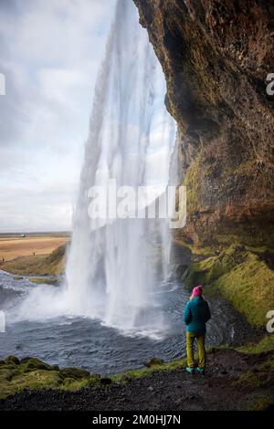 Island, Sudurland Region, eine Figur mit einer blauen Jacke und einer rosafarbenen Kappe von hinten im Vordergrund in der Höhle des 60 m hohen Wasserfalls Seljalandsfoss, stellt einen der wenigen Wasserfälle vor, hinter denen Sie vorbeikommen können Stockfoto