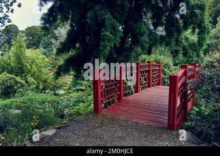Rote hölzerne Brücke im chinesischen Stil in den Threave Gardens in der Nähe von Castle Douglas in Dumfries und Galloway, Schottland. Stockfoto