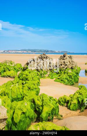 Spanien, Provinz Kantabrien, Noja, Trengandin-Strand am Camino del Norte, spanische Pilgerroute nach Santiago de Compostela Stockfoto