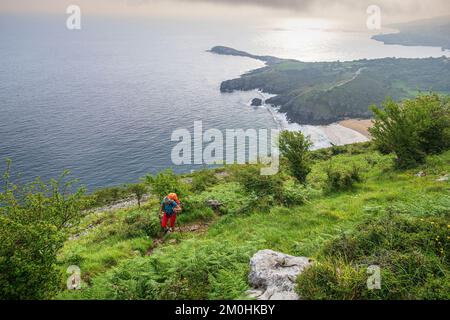 Spanien, Provinz Kantabrien, Ori?on, Wanderung auf einer Variante der spanischen Pilgerroute Camino del Norte nach Santiago de Compostela Stockfoto