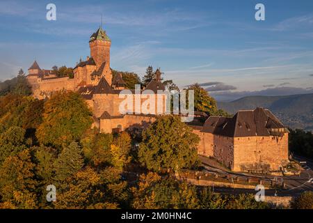 Frankreich, Bas Rhin, Orschwiller, Elsässer Weinstraße, die Haut Koenigsbourg Burg an den Vogesen und mit Blick auf die Ebene des Elsass im Osten sowie die Ville? Und Bruche-Täler im Westen im Hintergrund (Luftaufnahme) Stockfoto