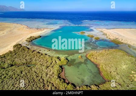 Egypte, Sina?, Sharm-el-sheikh, Nabq-Schutzgebiet und seine Mangroven (Luftaufnahme) Stockfoto