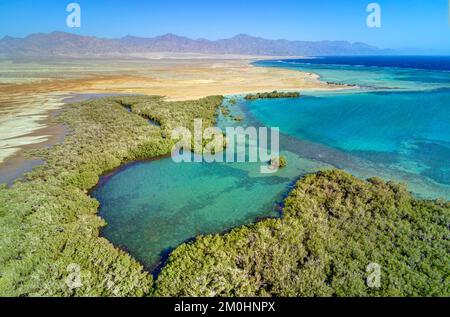 Egypte, Sina?, Sharm-el-sheikh, Nabq-Schutzgebiet und seine Mangroven (Luftaufnahme) Stockfoto
